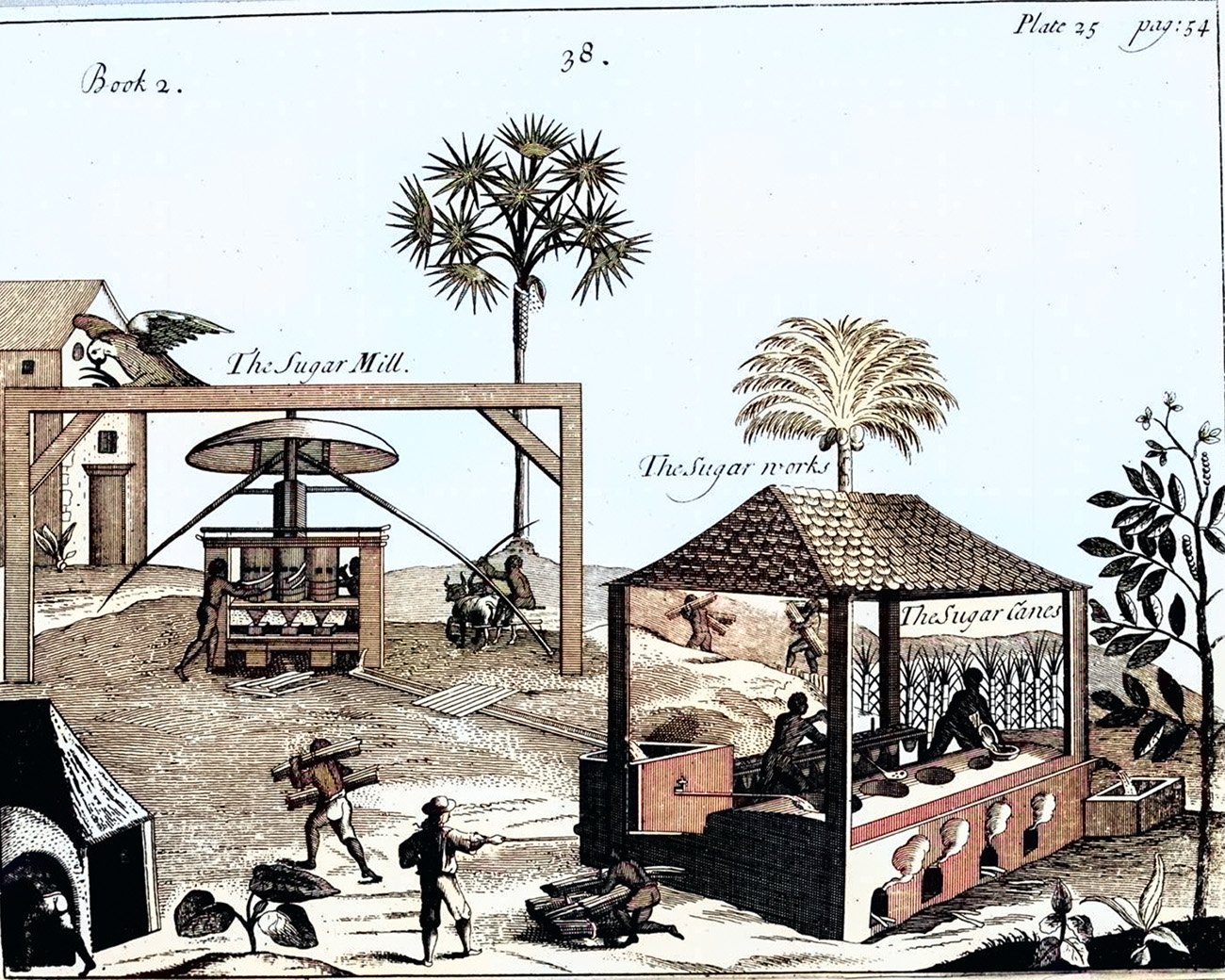 Historische afbeelding van een suikerplantage met arbeiders, een suikermolen en verwerkingsruimte, verwijzend naar de koloniale suikerindustrie en uitbuiting.