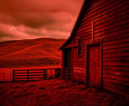 Boerderij in heuvelachtig landschap van Waikato, Nieuw-Zeeland