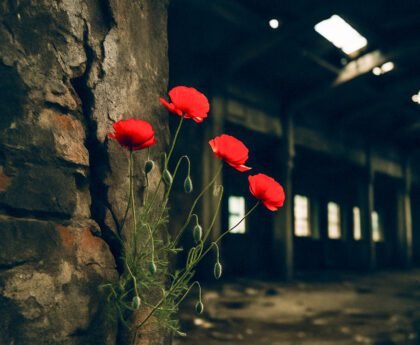 Rode wilde bloemen groeien door barsten in de muur van een donker, verlaten industrieel gebouw waar licht door gaten in het dak valt.