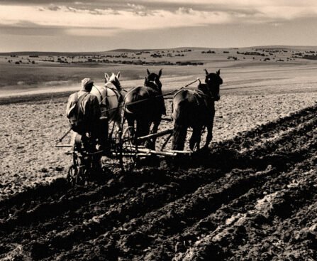 Boeren bewerken het land met paarden, symbool van arbeid, bestaanszekerheid en afhankelijkheid van grond