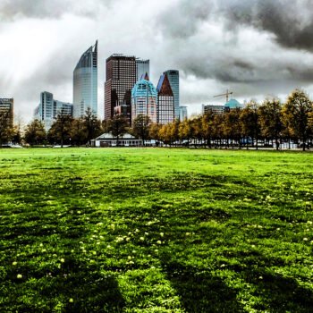 Het Malieveld in Den Haag met de skyline van ministeries en kantoren onder een dreigende lucht